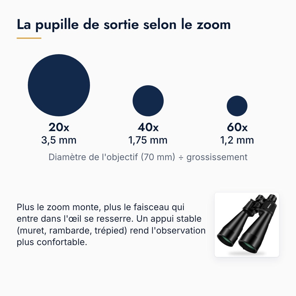 Carte : la pupille de sortie des jumelles selon le zoom, 3,5 mm à 20x, 1,75 mm à 40x et 1,2 mm à 60x, objectif de 70 mm divisé par le grossissement
