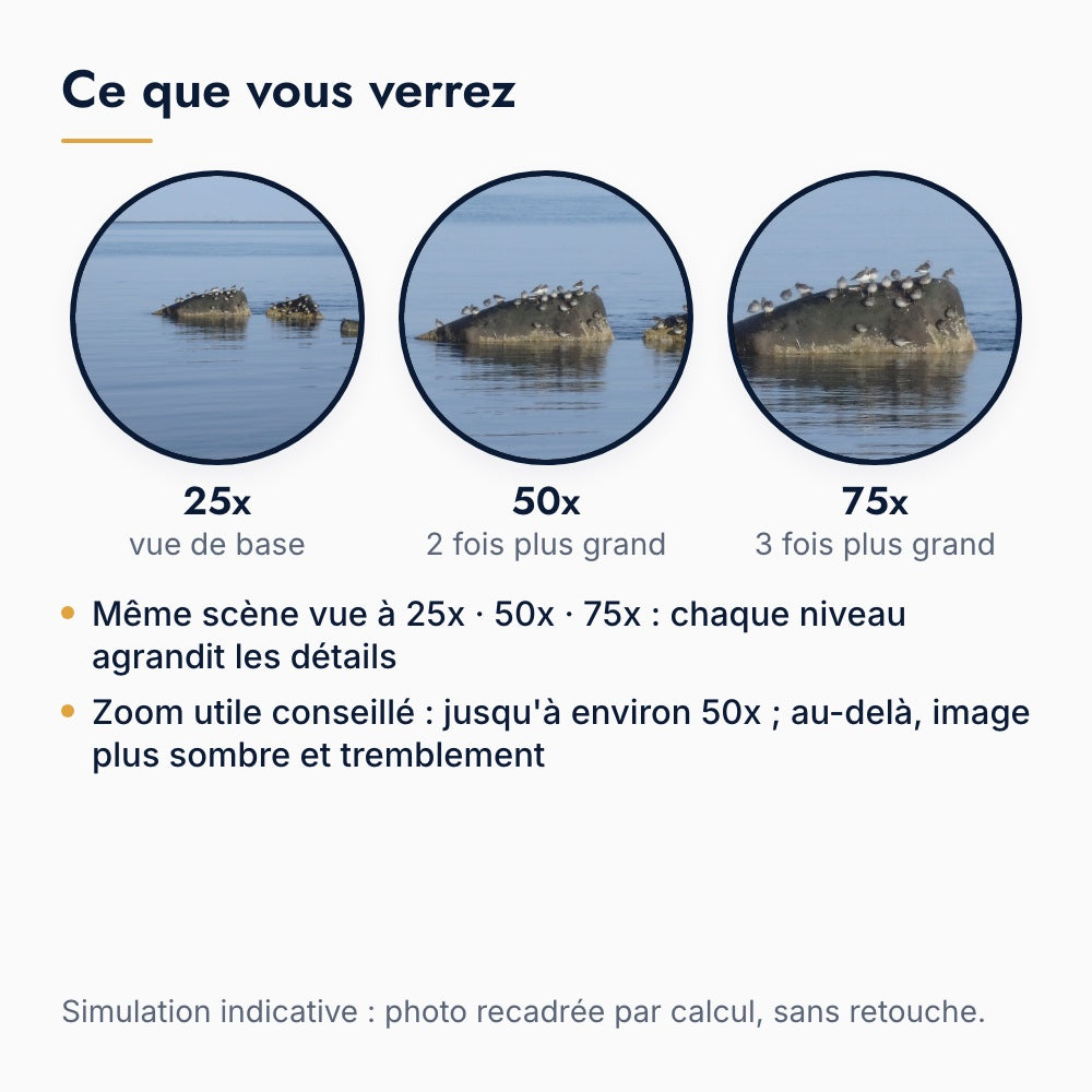 Ce que l'on voit avec une longue-vue 25-75x : des rochers et des oiseaux de mer à 25x, 50x et 75x, simulation par recadrage